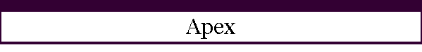 Apex